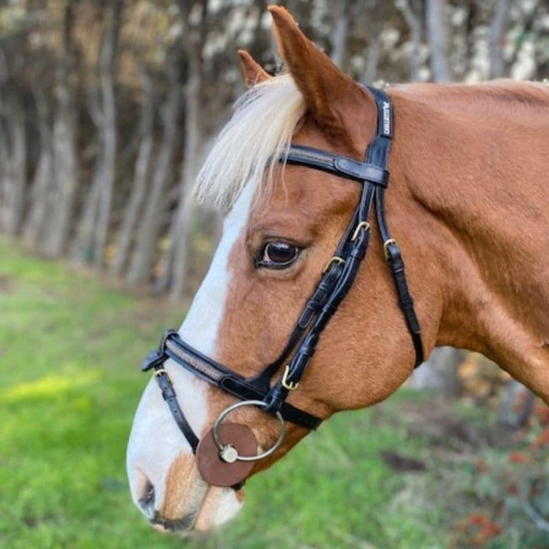 Zaumzeug für Pferde Kombinierter Nasenriemen mit abnehmbarem Nasenband Cavaletti Goldy