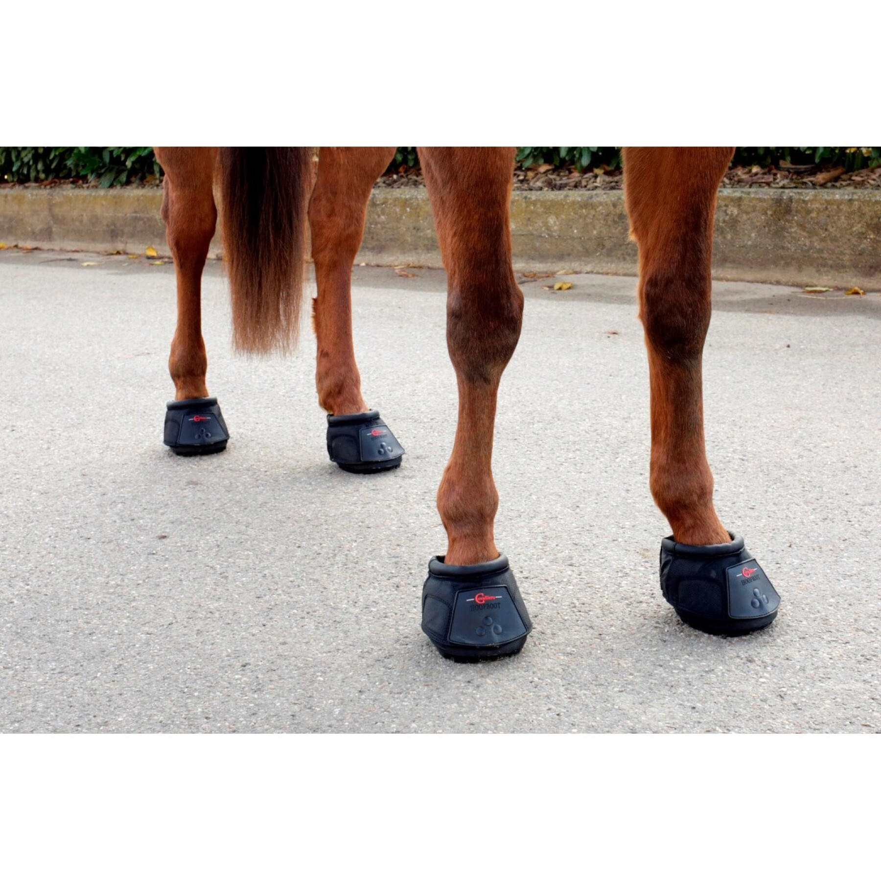 Sandale für Pferd Covalliero Hipposandale