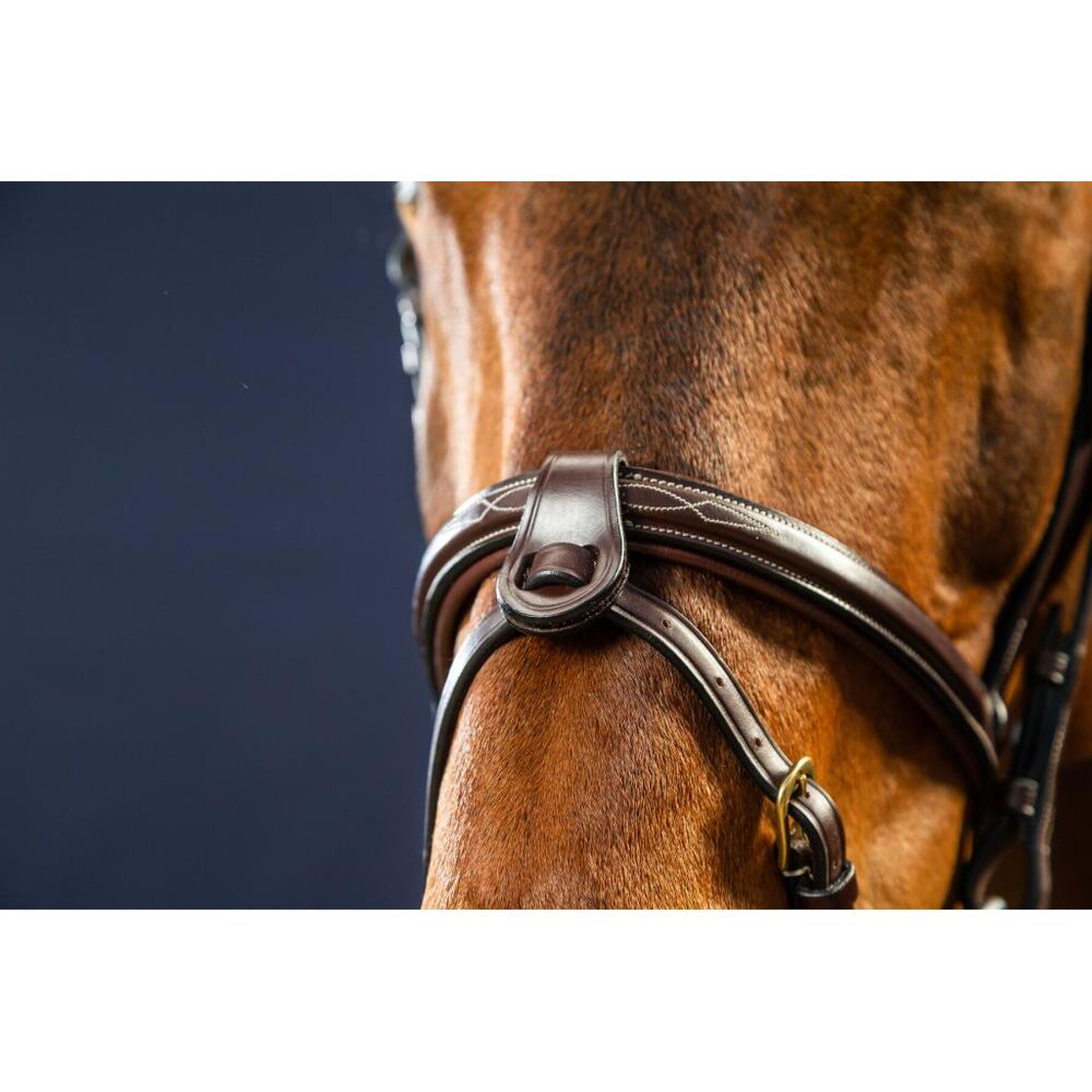 Bartunterlage für Pferde mit 2 abnehmbaren Bändern Dy’on 1/2"