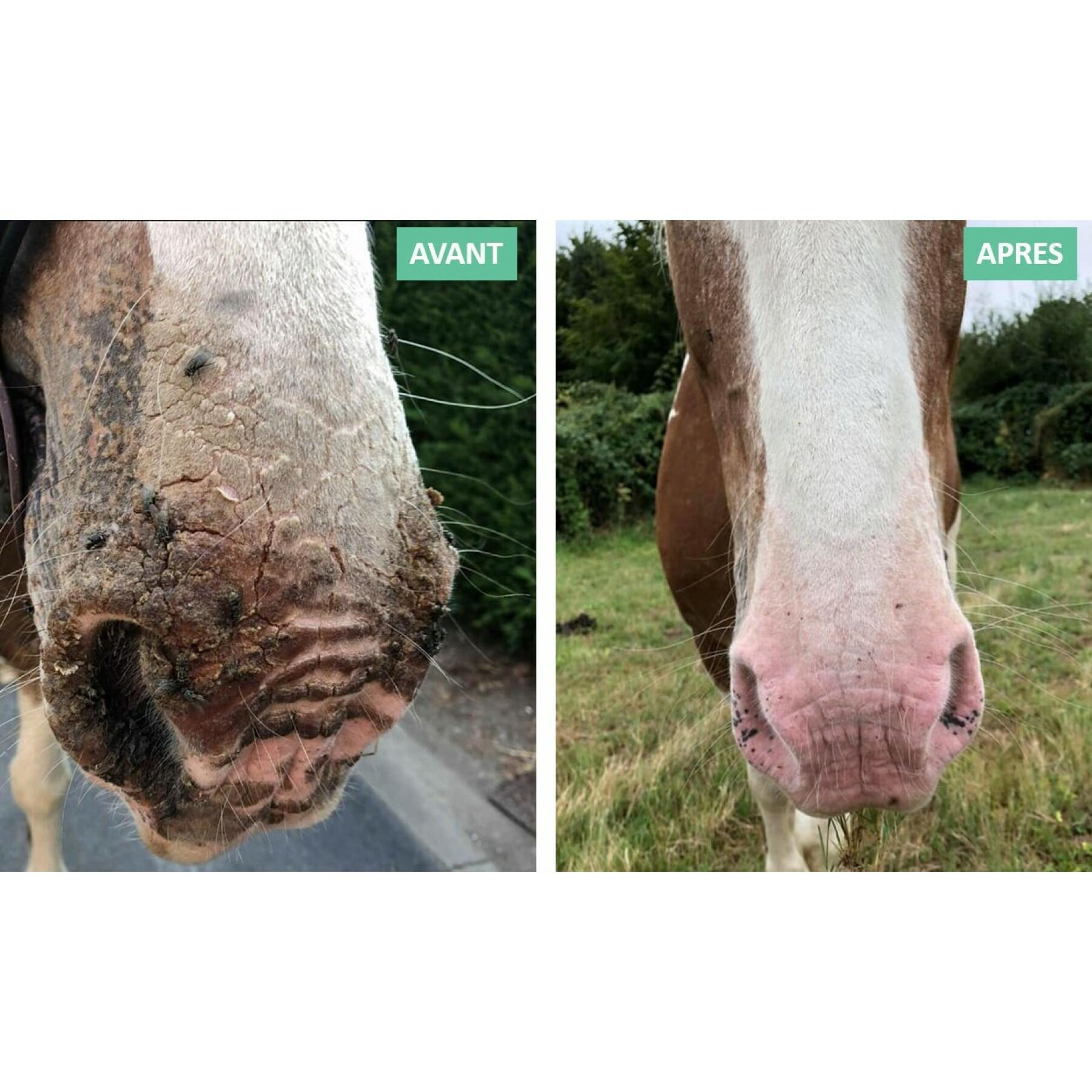 Sonnenschutz für Pferde Ekin - Anti-Dermatitis/Juckreiz - Haut