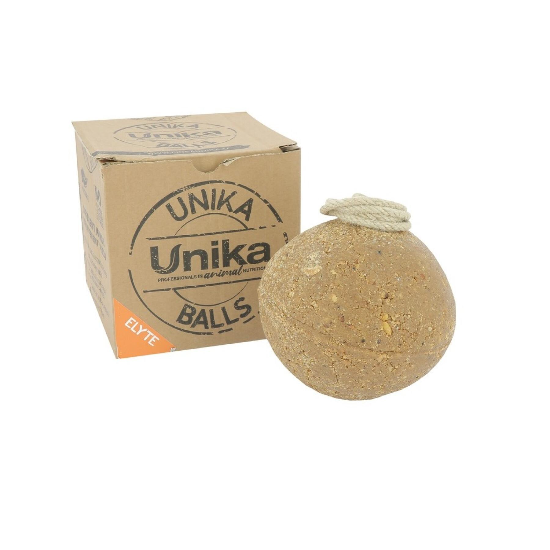 Nahrungsergänzungsmittel für Pferde Ekkia Unika Elyte
