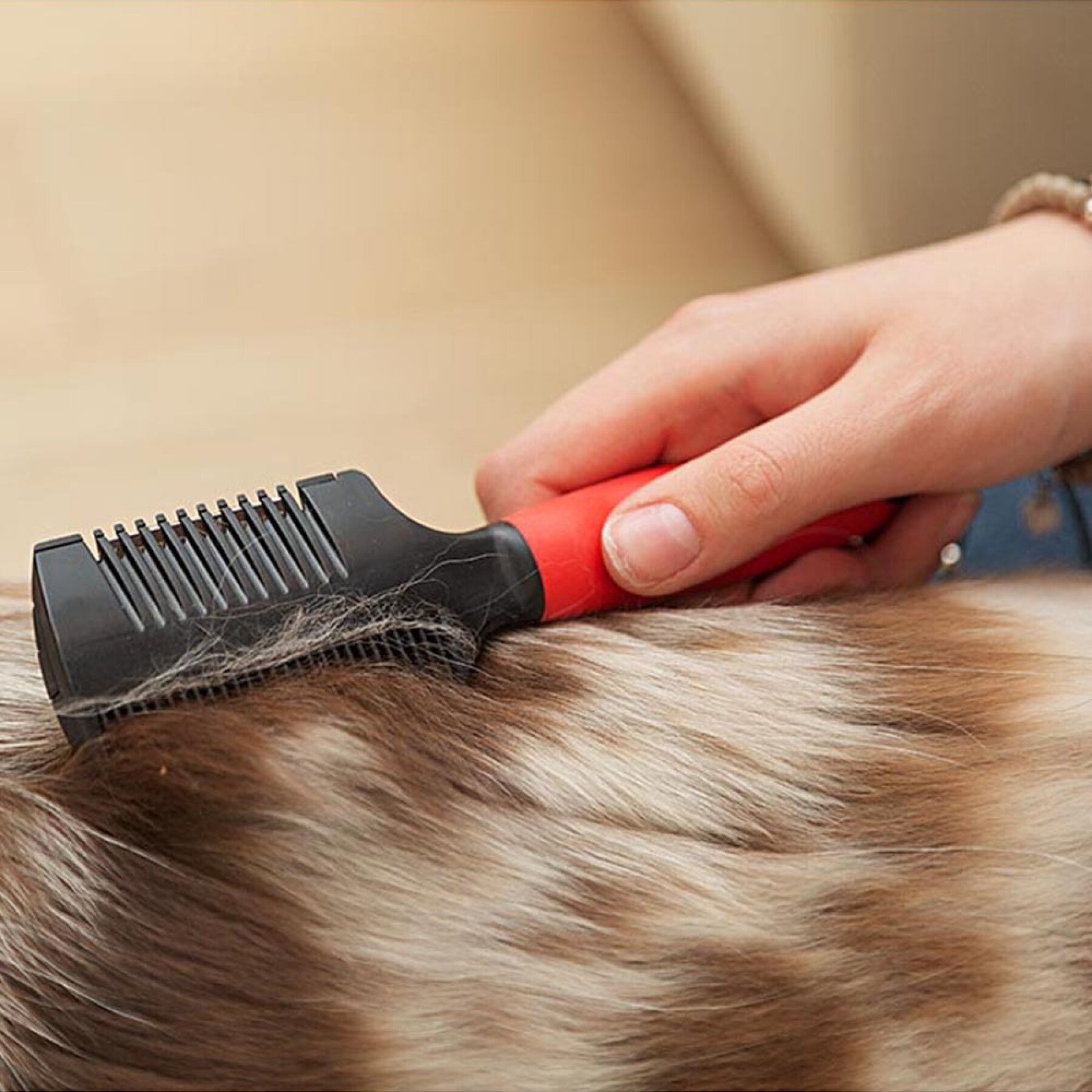 Rasierkamm gegen Flöhe für Katzen und Hunde Ferplast GRO 5991