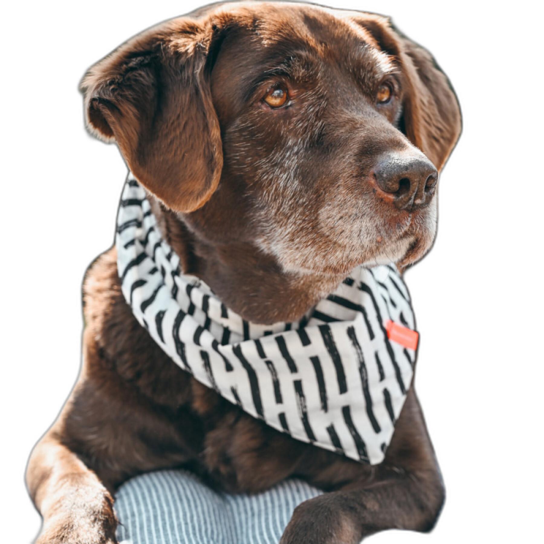 Bandana für Hunde mit gestreiftem Muster GEM