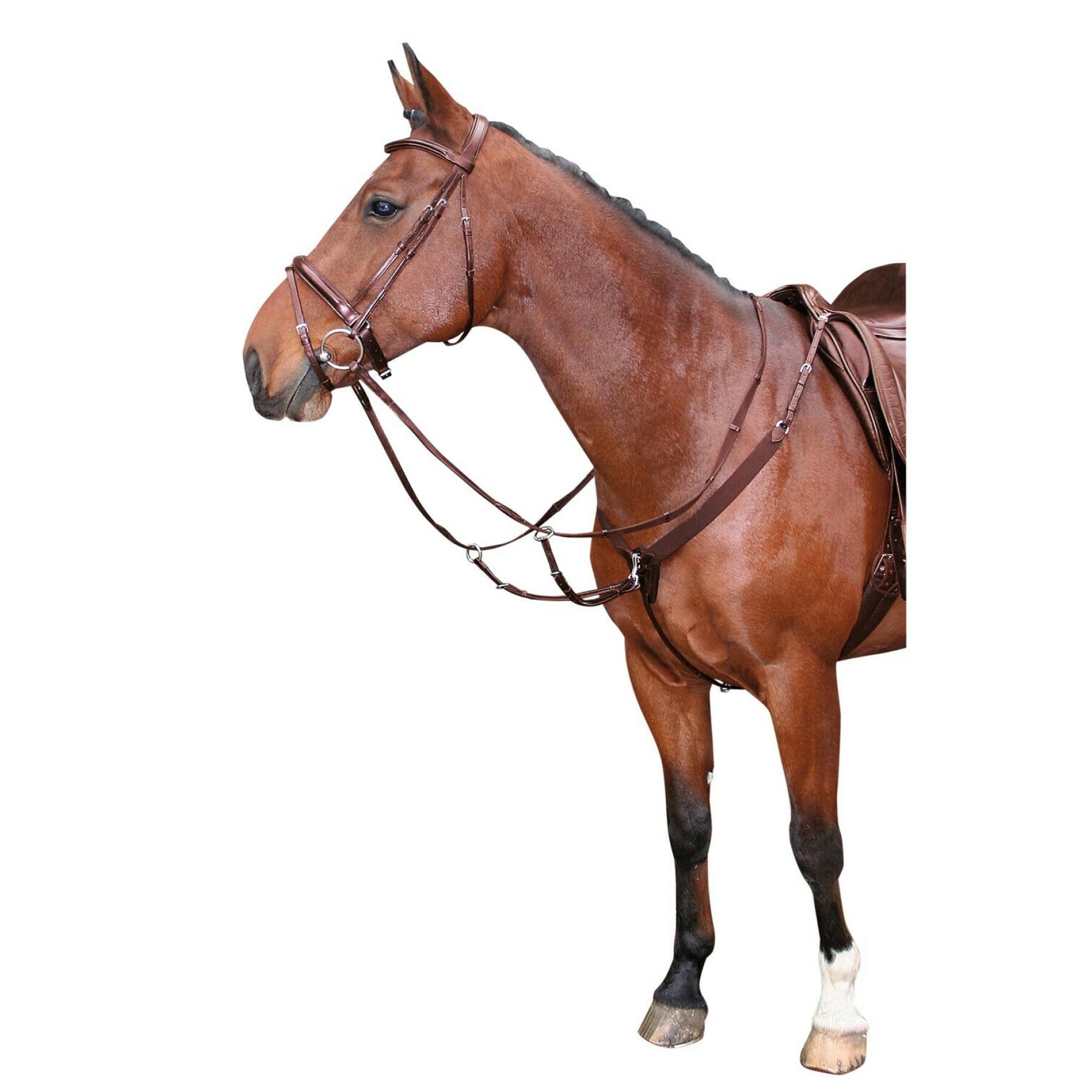 Elastisches Vorderzeug für Pferde Harry's Horse