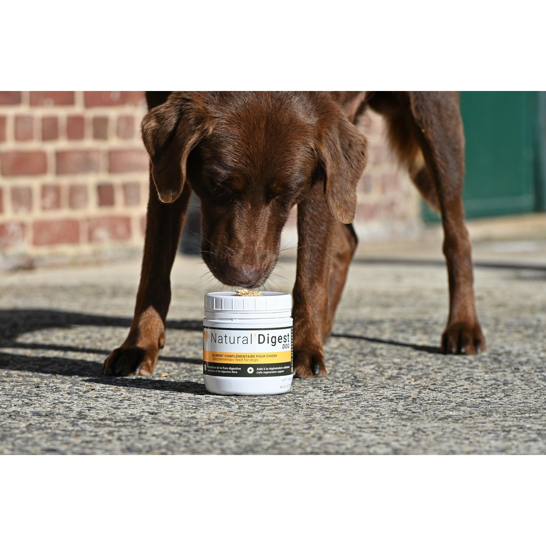 Ergänzungsfuttermittel Verdauung für Hunde Natural Innov Natural'Digest - 200 g