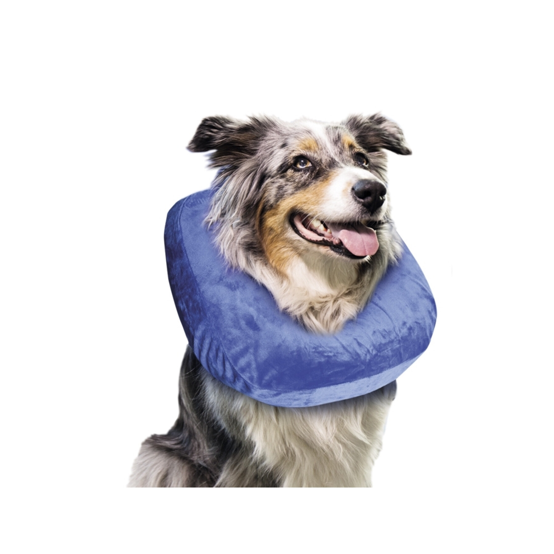 Schutzkragen für Hunde mittelgroßes Modell Nobby Pet