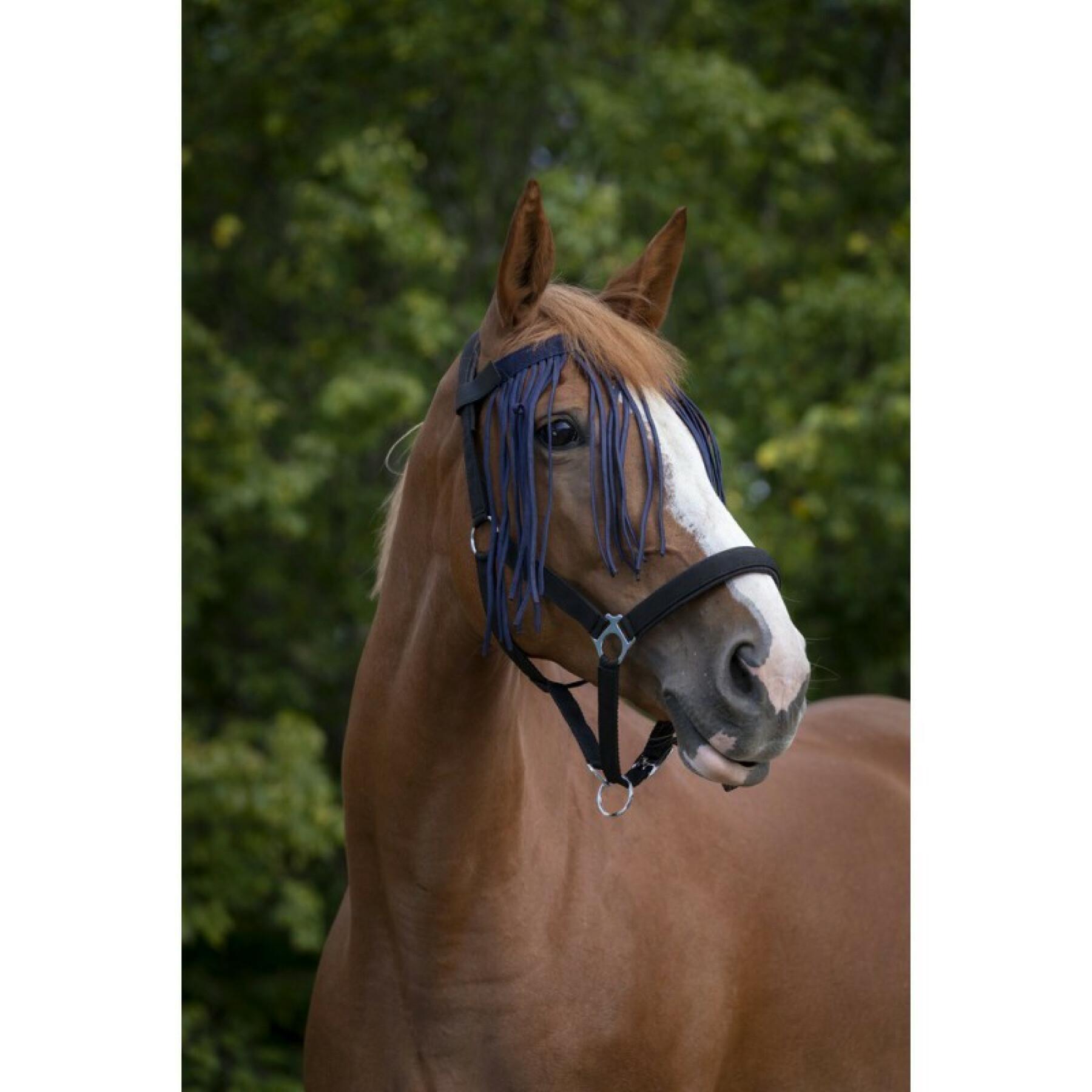 Stirnband für Pferd Norton Chasse-mouches