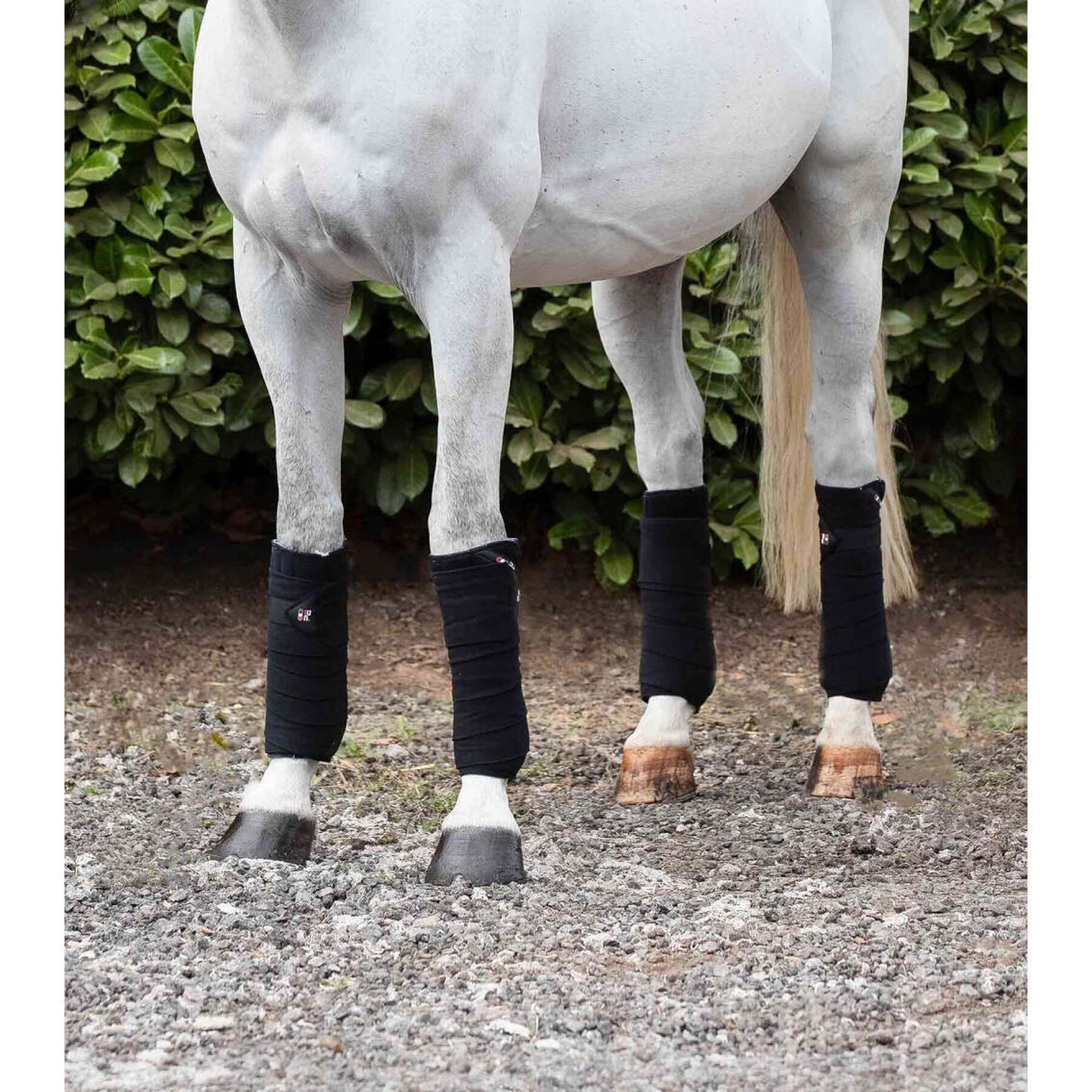 4er Pack Polobänder für Pferde Premier Equine
