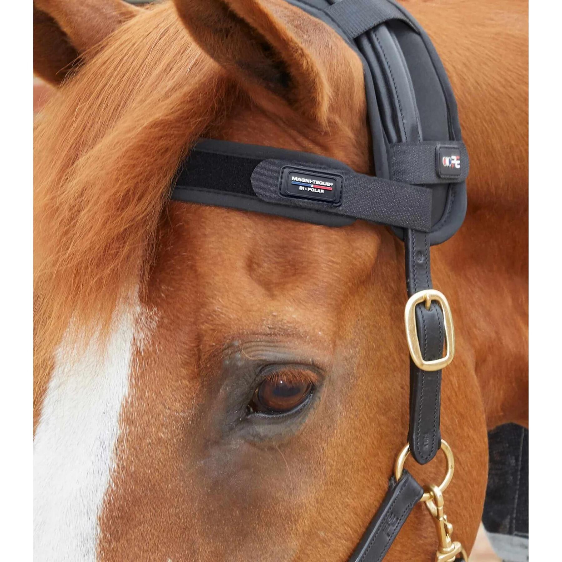 Magnetisches Stirnband für Pferde Premier Equine Magni-Teque