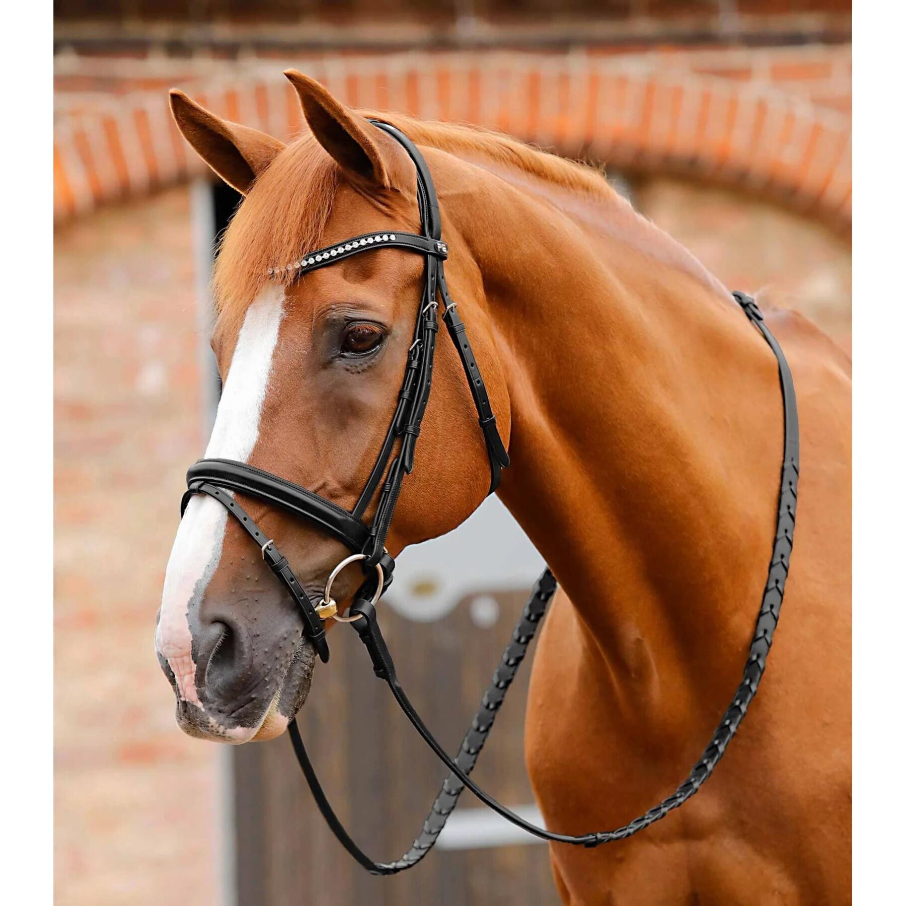 Stirnband für Pferd Strass Premier Equine Bellissima