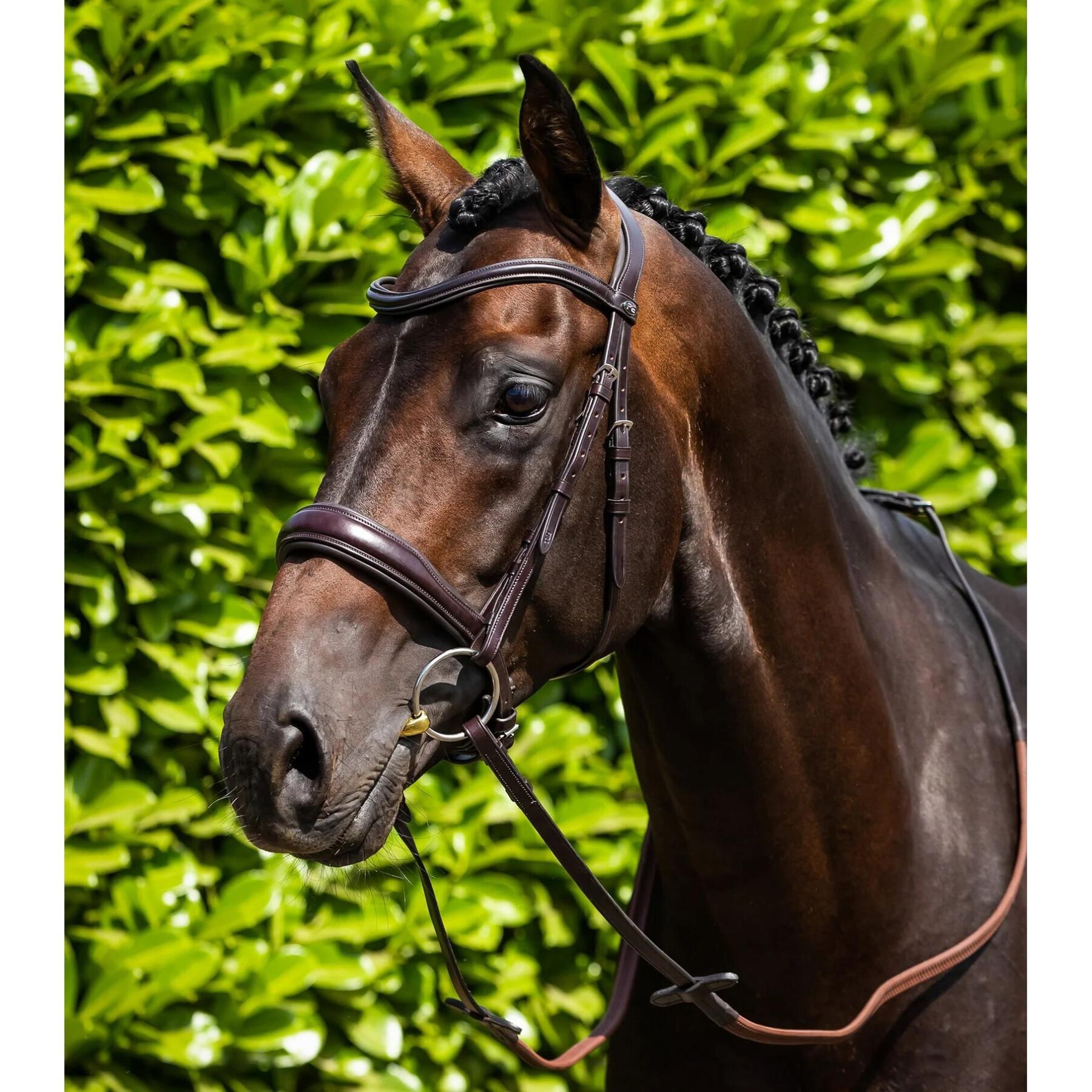 Stirnband für Pferd Glattleder Premier Equine Liscio