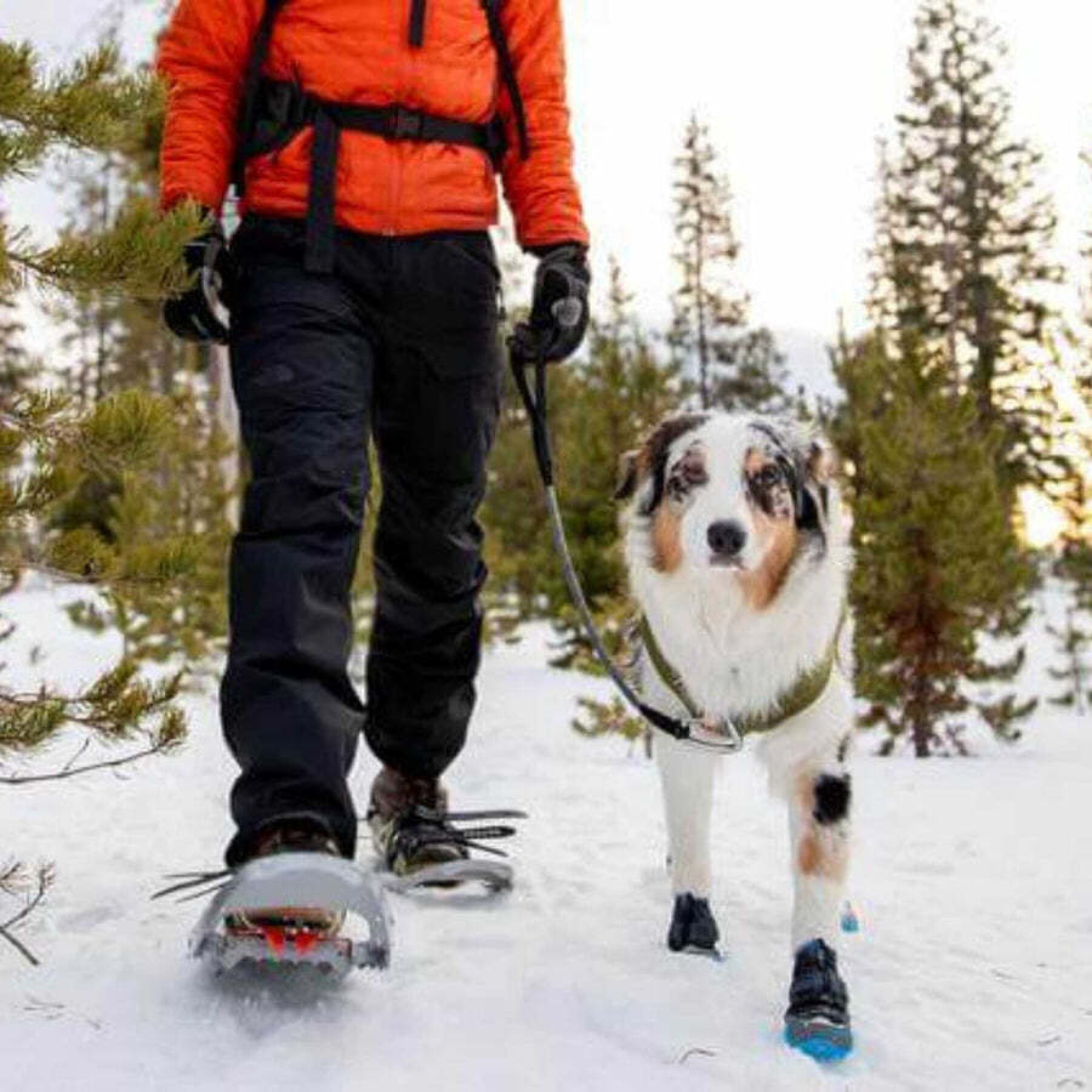 Winterschuhe für Hunde Ruffwear Polar Trex