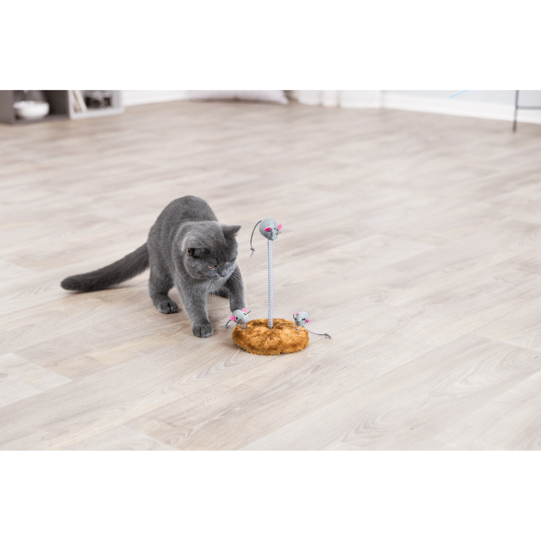 Katzenspielzeug Maus auf Spiralfeder, Plüsch, catnip Trixie (x2)