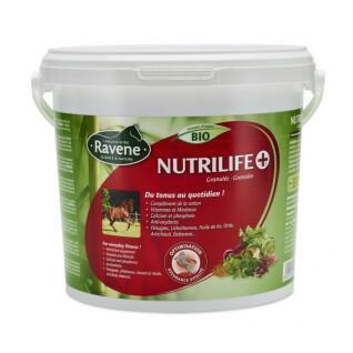 Vitamin-Ergänzungsfuttermittel für Pferde Ravene Nutrilife
