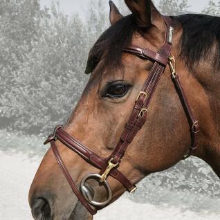Zaumzeug für Pferde Kombinierter Nasenriemen mit abnehmbarem Nasenband Cavaletti Easy