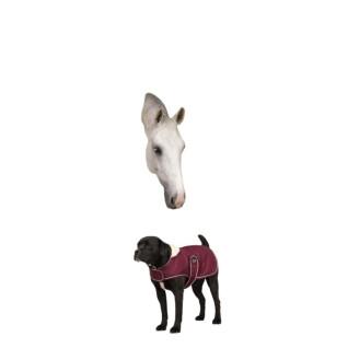 Fleece-Hundedecke Diego & Louna Teddy