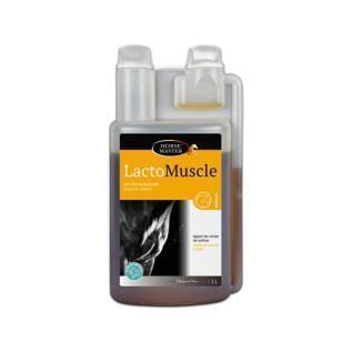 Nahrungsergänzungsmittel für Sportpferde Horse Master Lactomuscle 1 L
