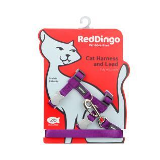 Katzengeschirr und -leine Red Dingo