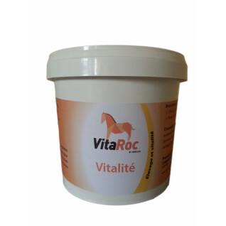 Vitamine und Mineralien für Pferde VitaRoc by Arbalou Vitalité