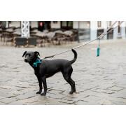Hundeleine mit handgefertigten Perlen Kentucky 250cm