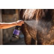 Shampoo für Pferde in der Aluminiumflasche Carr&Day&Martin Dreamcoat ultimate coat finish 1l