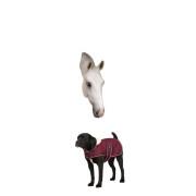 Fleece-Hundedecke Diego & Louna Teddy
