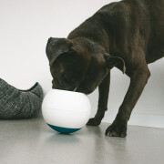 Anti-Grapscher-Ball für Hunde Duvoplus L