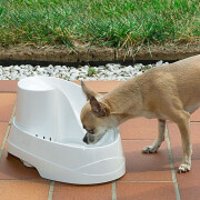 Wassertränke für Hunde und Katzen Ferplast Vega Sanitized