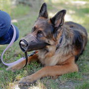 Maulkorb für Hunde Ferplast Safe