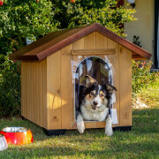Tür für Hundehütte groß Ferplast Domus