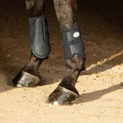 Knieschutz für Pferde Harry's Horse Beenbeschermers Flextrainer Air mesh