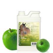 Apfel-Shampoo für Pferde Horse Of The World 1 l