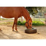 Reifenfuttertrog für Pferde Kerbl