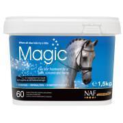 Ergänzungsfuttermittel Leistung für Pferde NAF Magic Powder