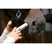 Ergänzungsfuttermittel empfindlicher Magen für Pferde Natural Innov Digest Flash