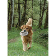Frisbees für Hunde Nobby Pet Flybee