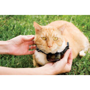 Set für einen weglaufsicheren Katzenzaun PetSafe Premium