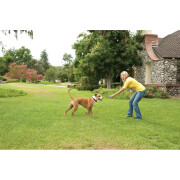 Weglaufsicherer Zaun für Hunde PetSafe Stay&Play
