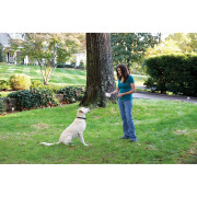 Weglaufsicherer Zaun für Hunde PetSafe Stay&Play
