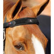 Magnetisches Stirnband für Pferde Premier Equine Magni-Teque