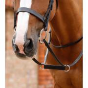 Martingal für Pferd Premier Equine Esperia Irish