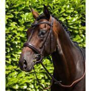 Stirnband für Pferd Glattleder Premier Equine Liscio