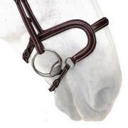 Reithalfter Pferd Leder flach Silver Crown H Classique