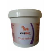 Biotin für Pferde VitaRoc by Arbalou Vitabiotine
